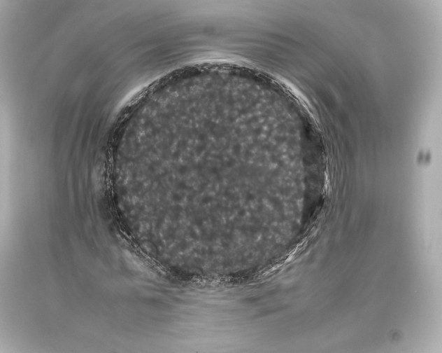 X0000093370775200711011227