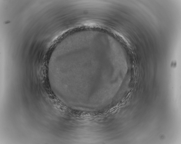 X0000093370776200711011227