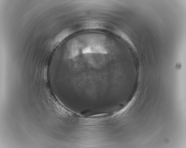 X0000093370777200711011227