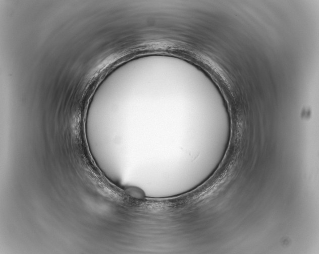 X0000093370778200711011227