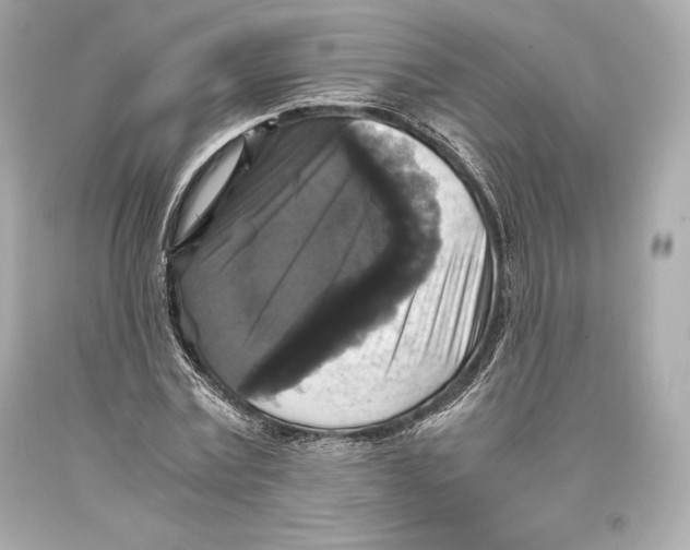 X0000093370779200711011227