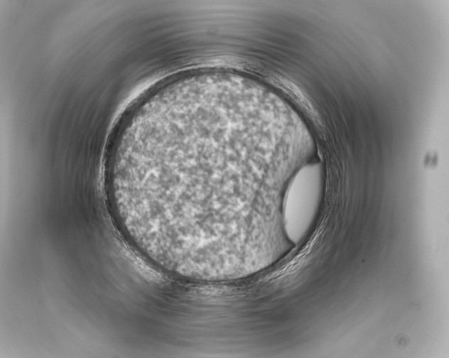 X0000093370780200711011227