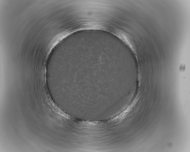 X0000093370781200711011227