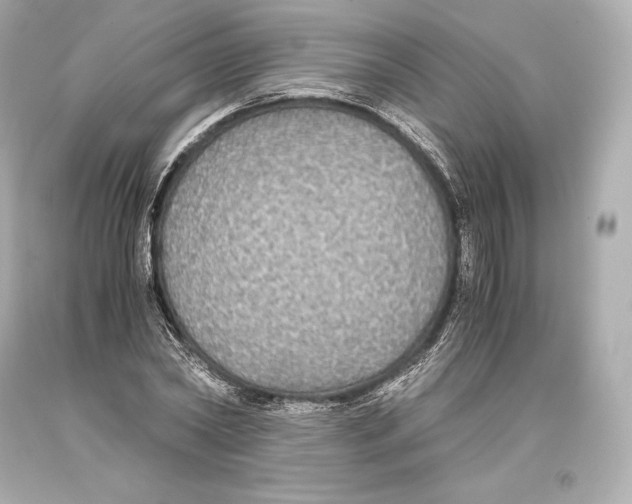 X0000093370782200711011227