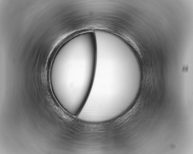 X0000093370784200711011227