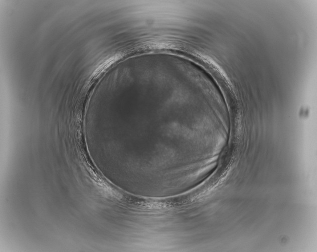 X0000093370785200711011227