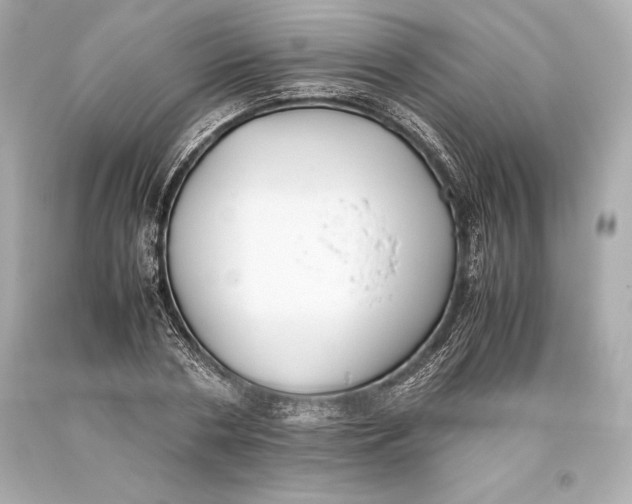 X0000093370786200711011227