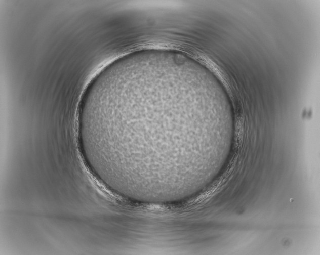 X0000093370787200711011227