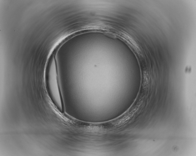 X0000093370788200711011227