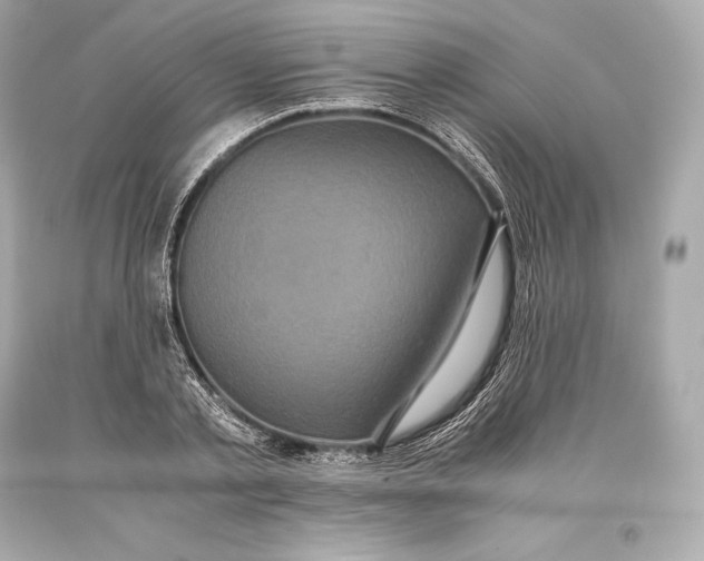 X0000093370789200711011227