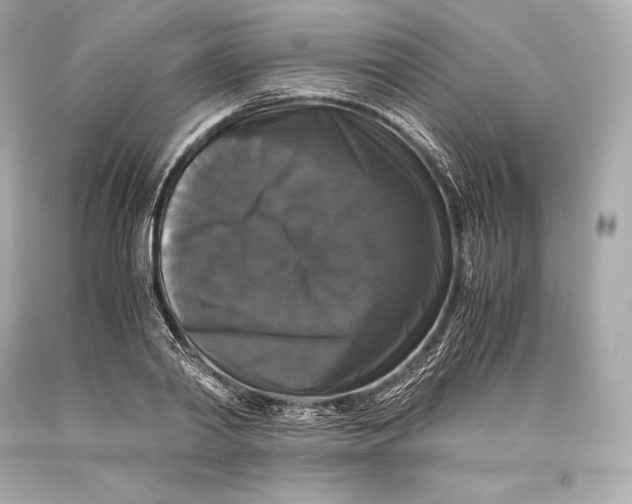 X0000093370790200711011227