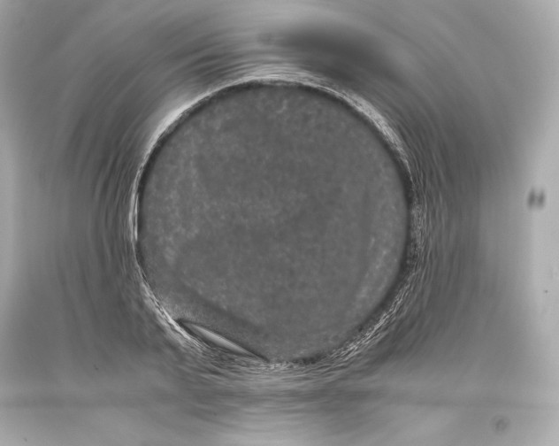 X0000093370791200711011227