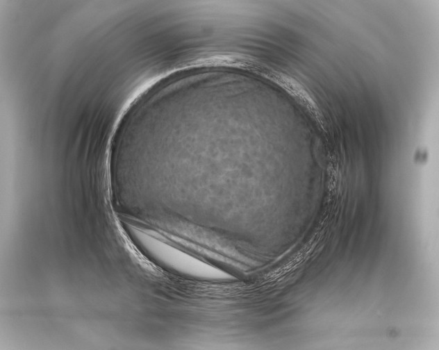 X0000093370792200711011227