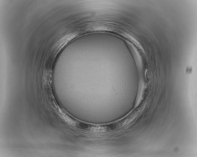 X0000093370793200711011227