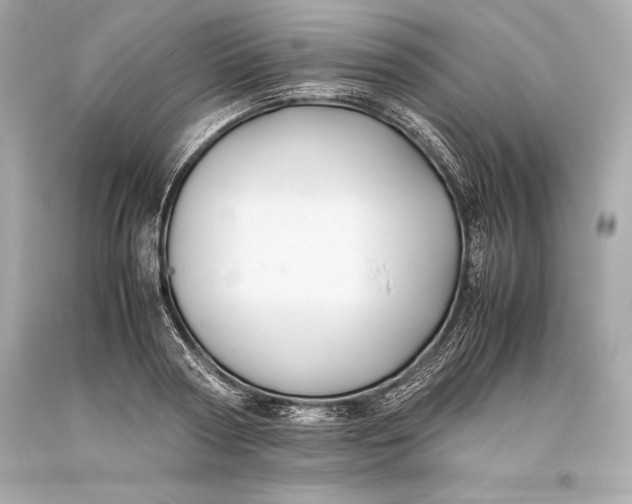 X0000093370794200711011227