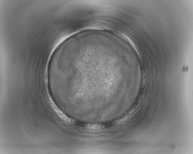 X0000093370795200711011227