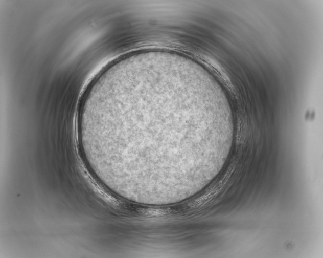 X0000093370796200711011227