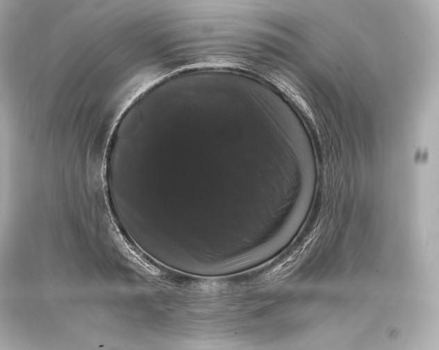 X0000093370797200711011227