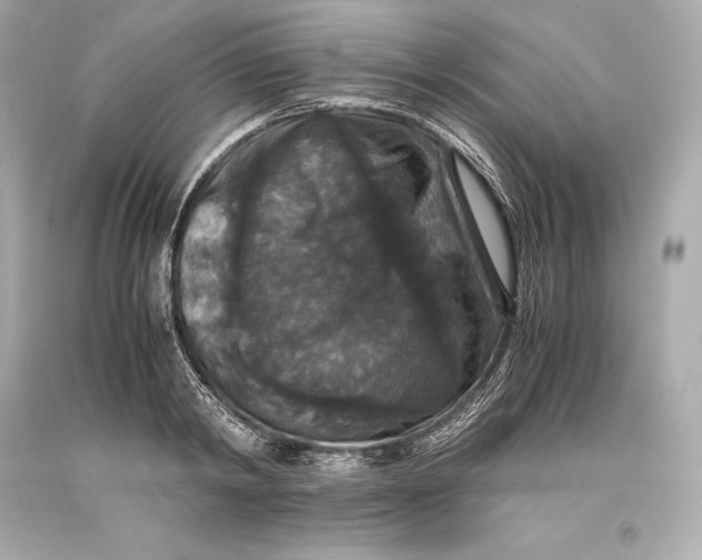 X0000093370798200711011227