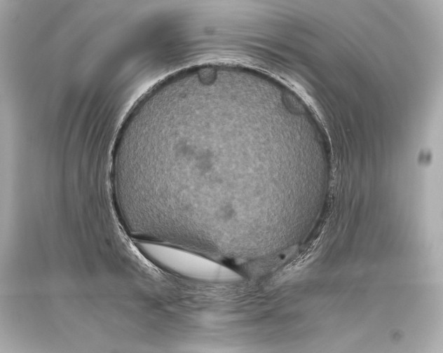 X0000093370799200711011227