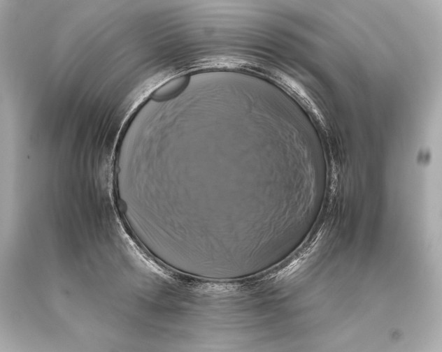 X0000093370802200711011227