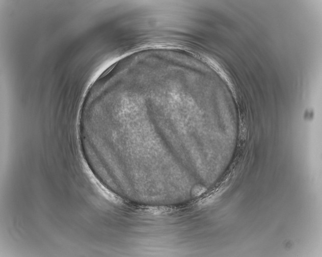 X0000093370803200711011227