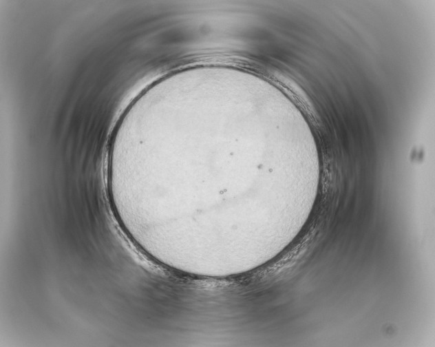 X0000093370804200711011227