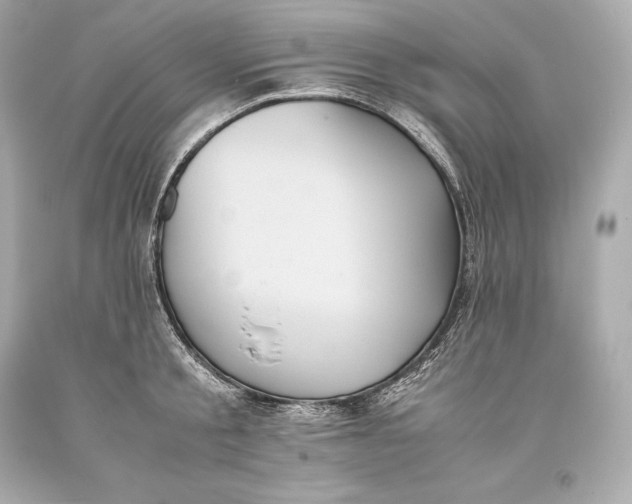 X0000093370805200711011227