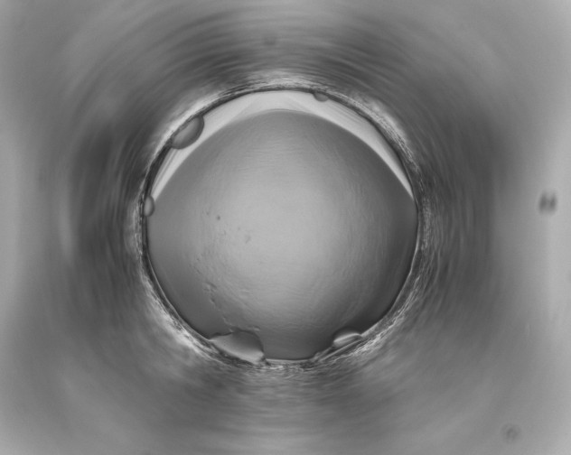 X0000093370806200711011227