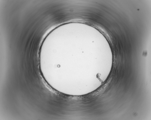 X0000093370808200711011227