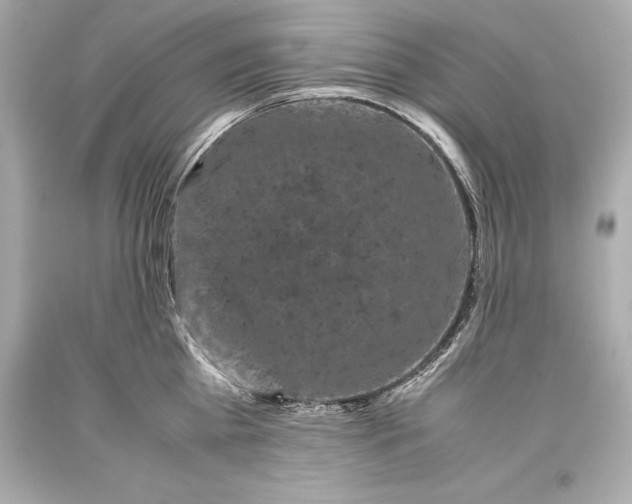 X0000093370809200711011227