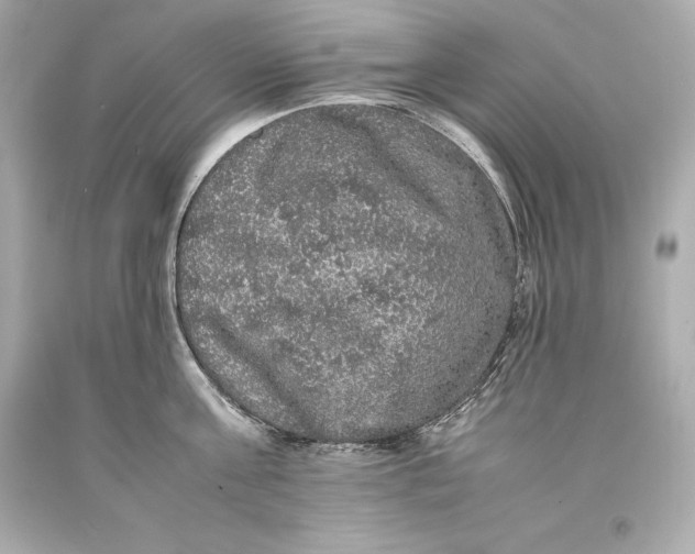 X0000093370811200711011227