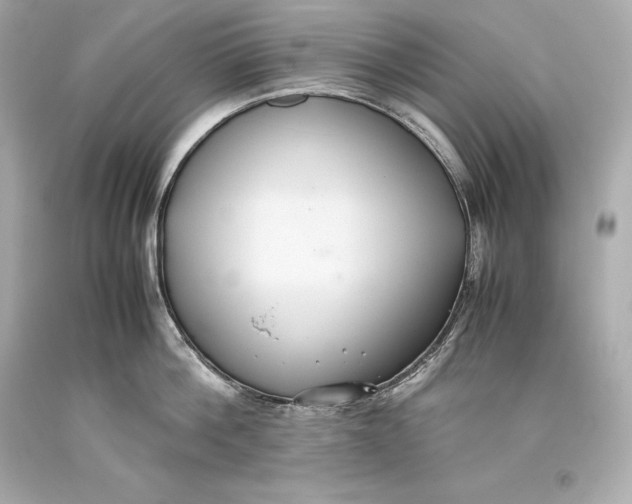 X0000093370812200711011227