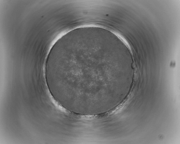 X0000093370813200711011227