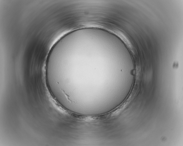 X0000093370814200711011227