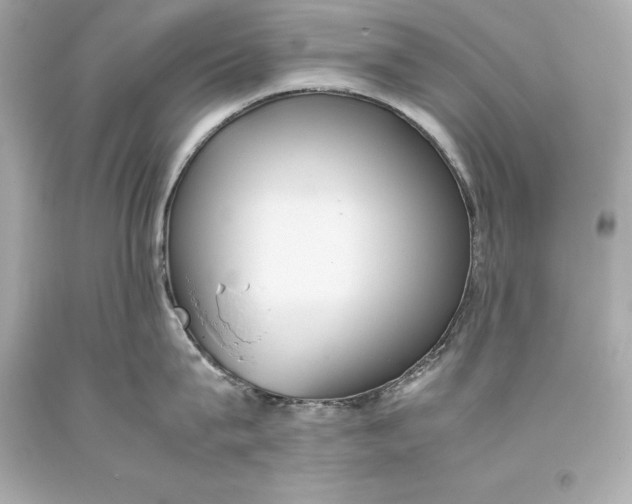 X0000093370815200711011227