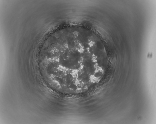 X0000093370817200711011226