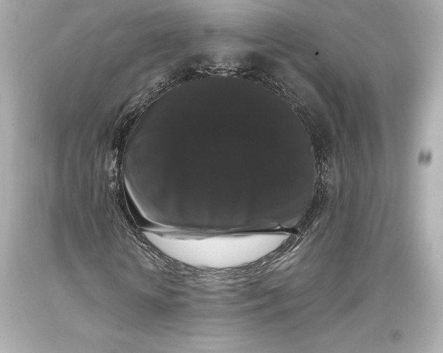 X0000093370818200711011226