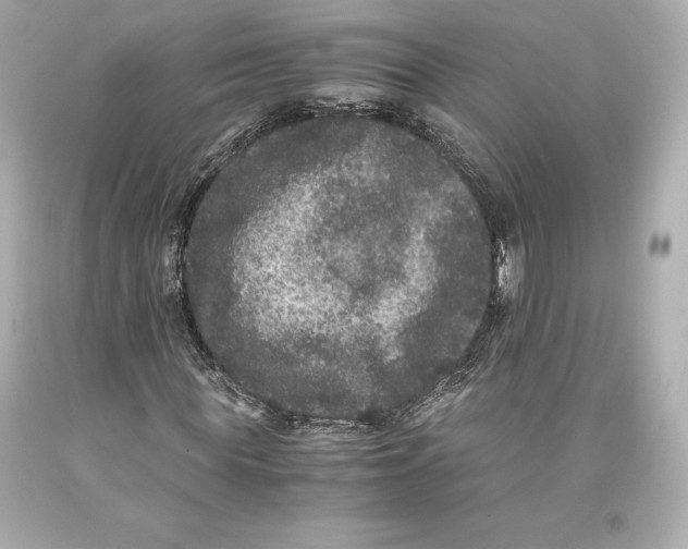 X0000093370819200711011226