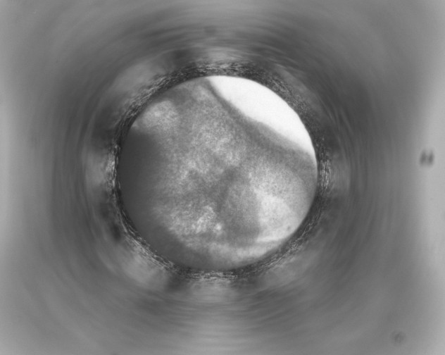 X0000093370820200711011226