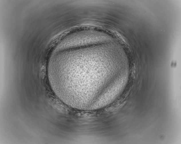 X0000093370821200711011226