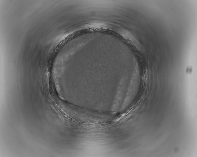 X0000093370822200711011226