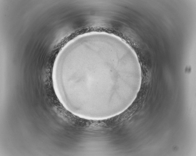 X0000093370824200711011226