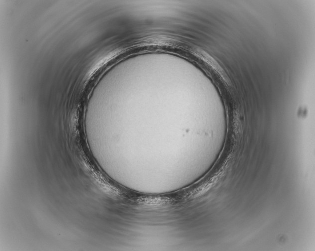 X0000093370826200711011226