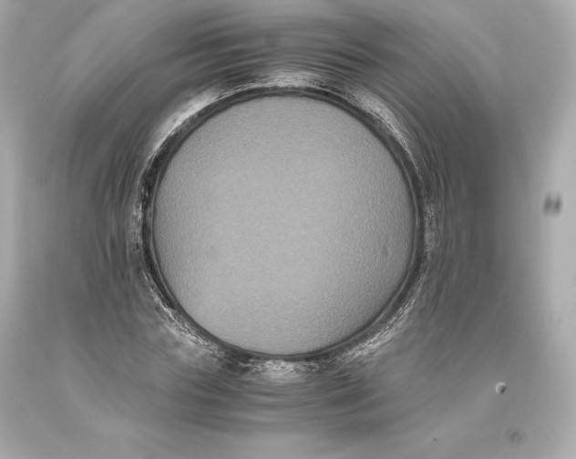 X0000093370827200711011226