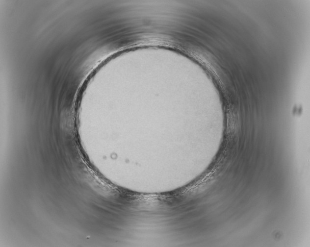 X0000093370828200711011226