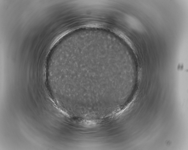 X0000093370829200711011226