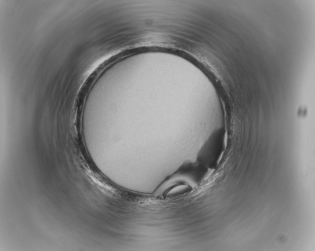 X0000093370830200711011226