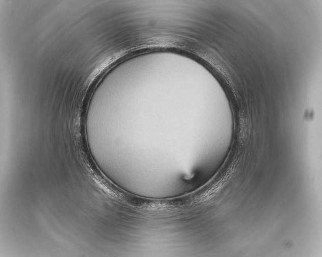 X0000093370834200711011226