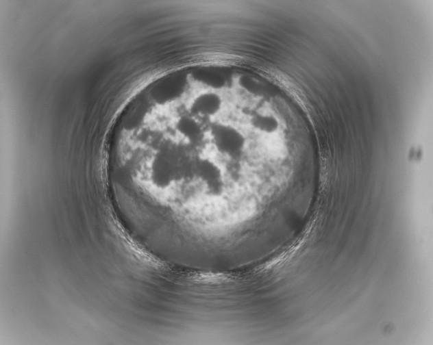 X0000093370835200711011226